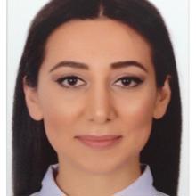 Aysel Rustamova avatar